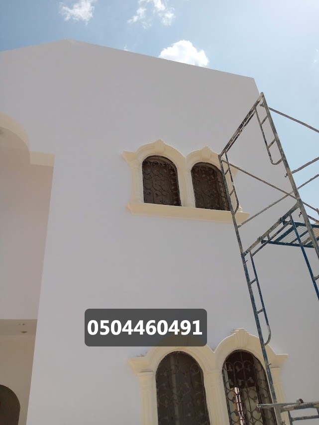 اصباغ خارجية