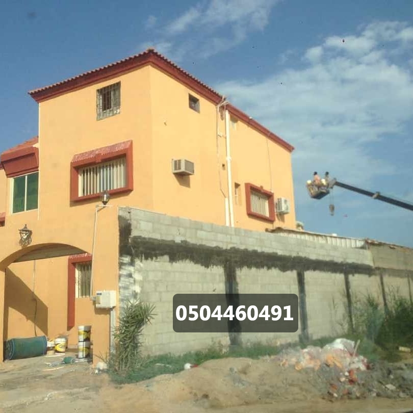 اصباغ خارجية