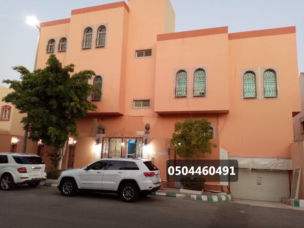 اصباغ خارجية